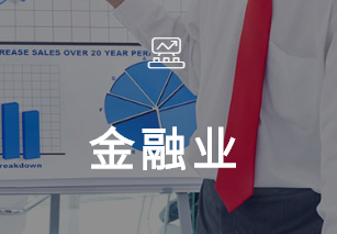 金融业解决计划